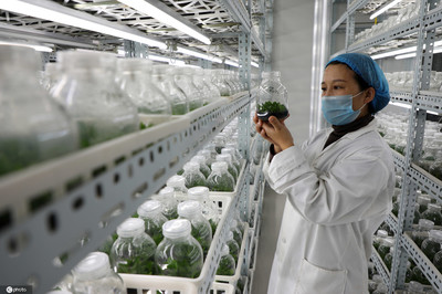 山东滨州 生物技术赋能现代农业，科技引擎助推产业升级