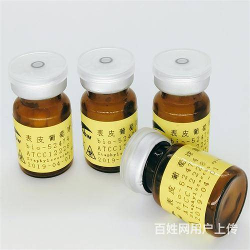科罗拉多拟无枝酸菌  microbiology 领域的精准利器与生物技术推广新篇章